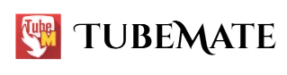WordPress Website